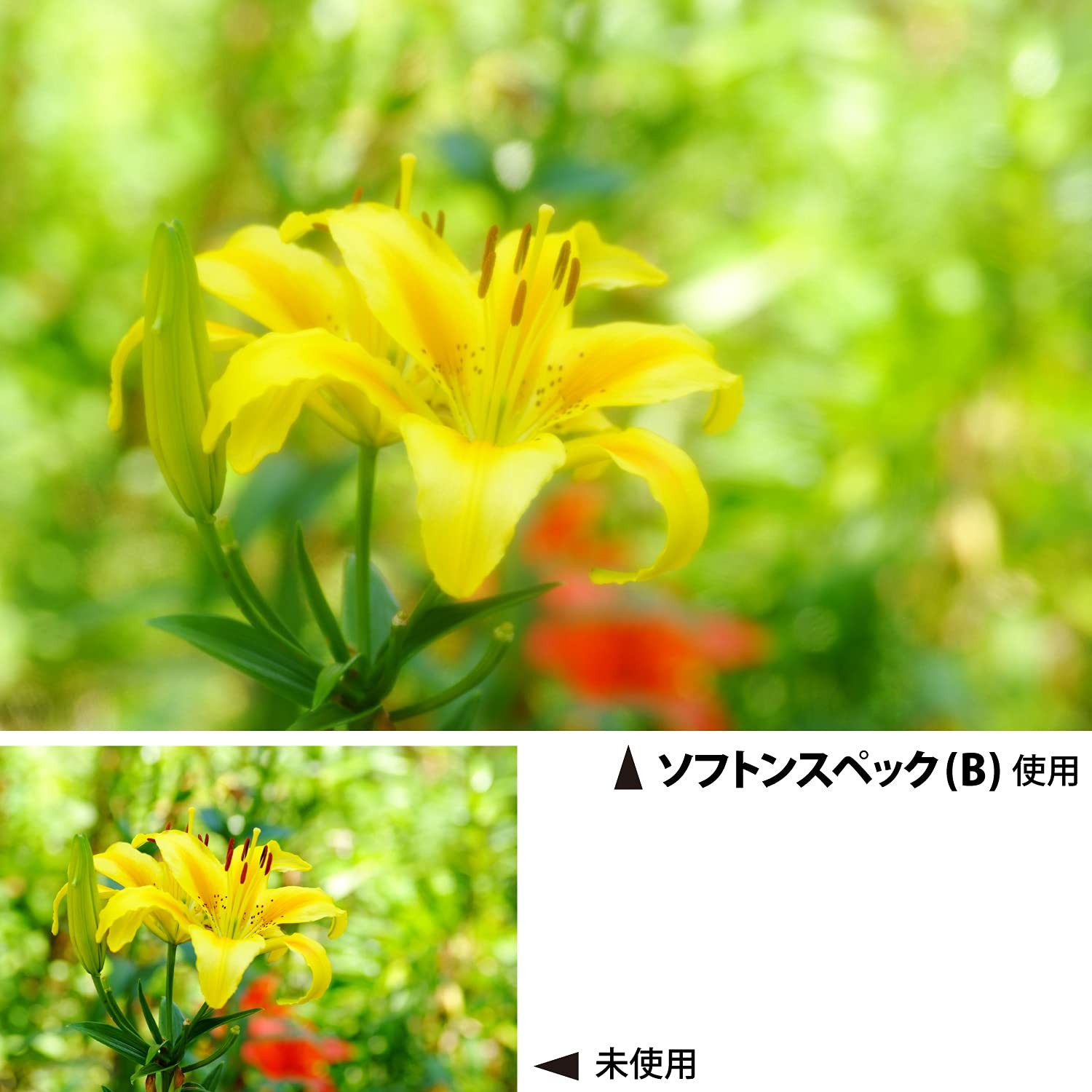 Foto 3 di 7