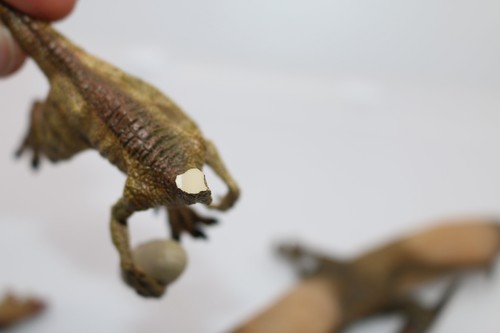 PAPO 2009 #55018 OVIRAPTOR W/ EGG 3'' Dinosaurs Pteranodon Figures toys - Picture 7 of 8