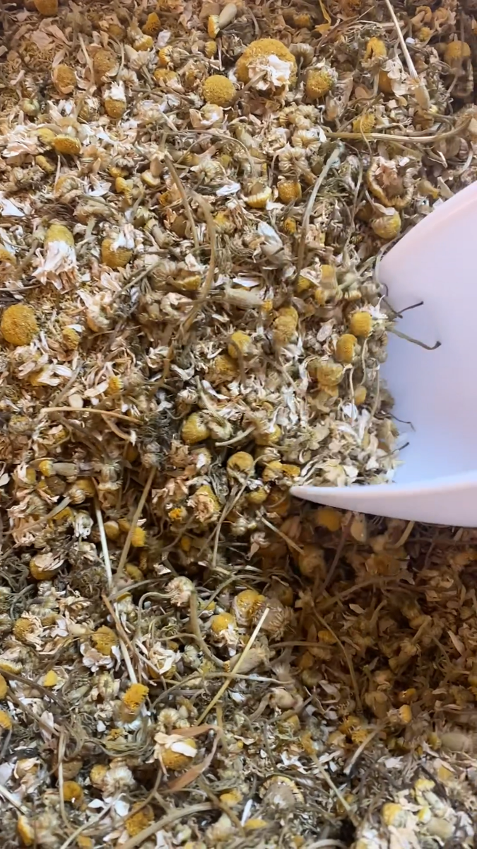 TeeLux Chamomile Tea Bags, 1g/bag, Natural Chamomile