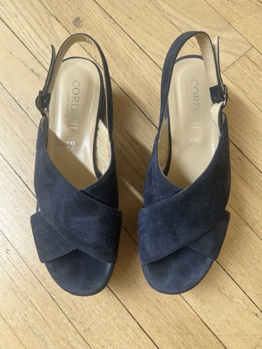 Bizzy Navy Suede Platform Slide Sandals by Cordani main image 1
