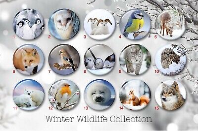 British Wildlife 38mm badges & Fridge Magnets collector animals wild bird UK 