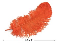 10 Wing - 18- 24" Orange Ostrich Plumes Centerpiece Feathers Costume Halloween