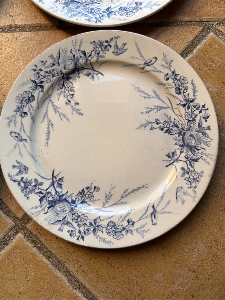 4 assiettes anciennes Terre De Fer Creil Et Montereau Linotte - Photo 3/4