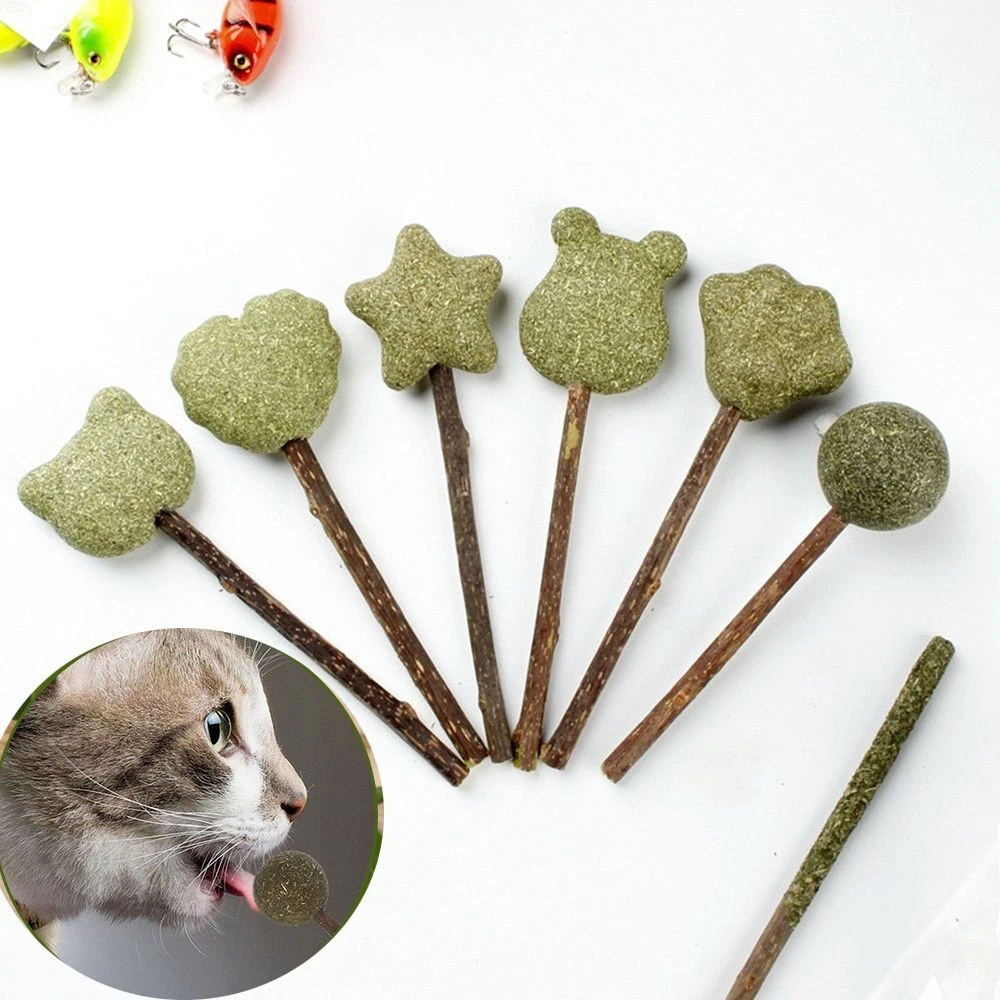 Mint Ball Natural Lollipop Catnip Ball Cat Toy Catnip Toys Kitten Coated Mint