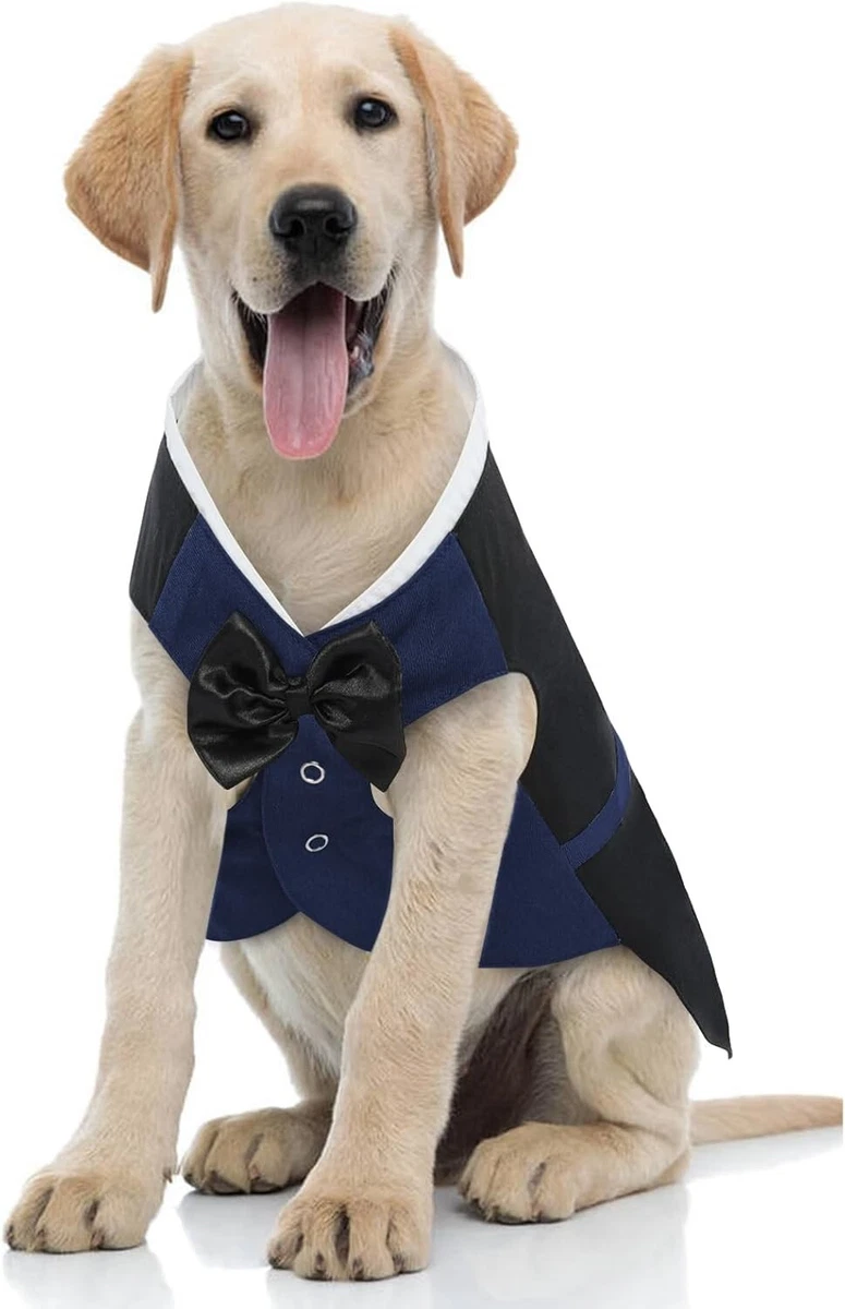 Midlee Traje De Boda De Esmoquin Para Perro, Sombrero Y Correa Gris