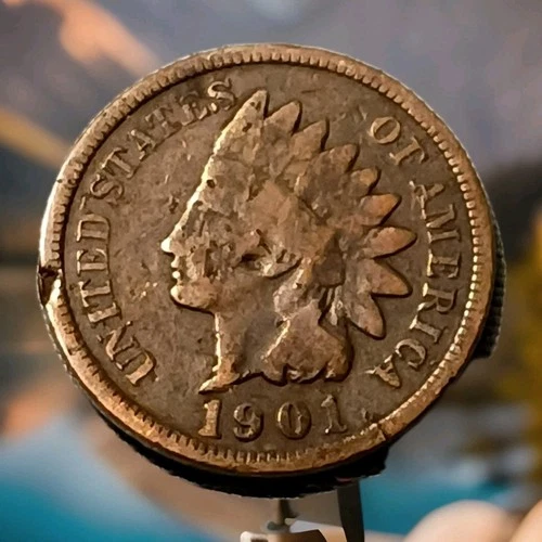 1901 Indian Head Cent Actual Coin Shown - A18