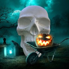 New Haunted House PROP Spooky Decorative Skull, Halloween Goth 5.5 Inches