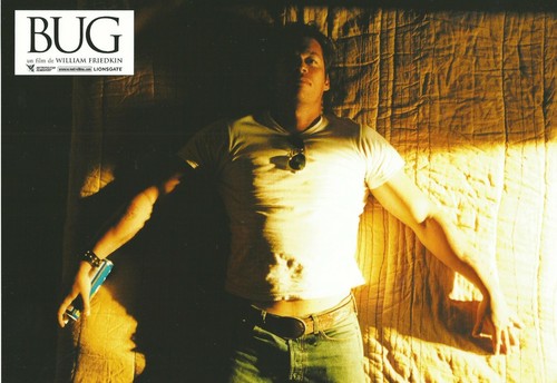 jeu de 8 Photos D'exploitations Originales du Film Bug De William Friedkin - Photo 5/9