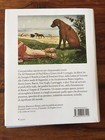 Foto 2 di 5