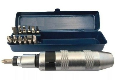 Cacciavite A Percussione Per Viti Spanate Professionale 13 Pezzi Ad Impatto Ebay