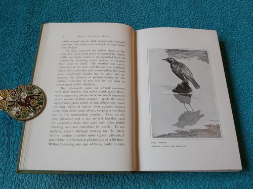 Wild Nature's Ways, Cherry & Richard Kearton, Cassell Ausgabe 1903, HB - Bild 12 von 17