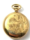 Vintage Elgin Pocket Watch in Gold Filled Hunter's Case, 1900's, Vintage Watches