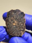 NWA 14922 Mesosiderite Meteorite 3.790g Part Slice Rare Stony-Iron w/ COA — photo 5