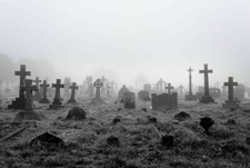 20x10FT Vinyl Studio Backdrop Spooky Foggy Ancient Cemetery Halloween Background