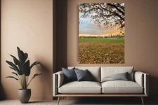 Photo Digital Image Picture Wallpaper Background Autumn sunset JPG Wall Art