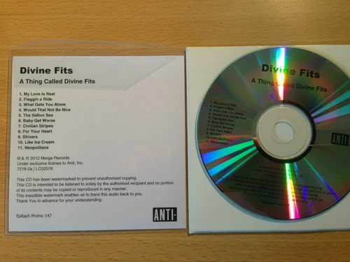 DIVINE FITS ~'A Thing Called''~ Rare UK PROMO CD 2012~ALTERNATIVE ROCK~NEW