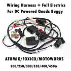 <!--F#f_0-->Complete Wiring Harness Loom 200/250/300cc 350cc 400cc 450cc ATV Quad Bike Buggy<!--F/-->