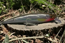 Trolling Minnow Wobbler