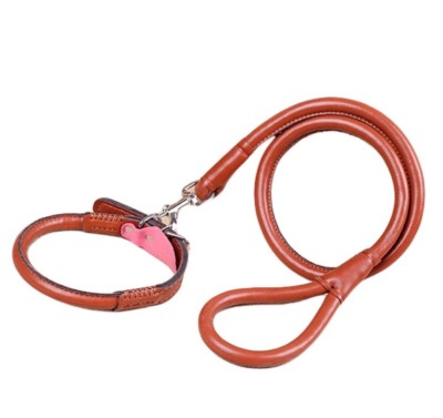 Halsband Leine Set Kunstleder Hundehalsband Braun L Hundeleine Gro Dick  NEU | eBay.de