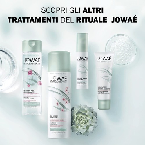 JOWAÉ Crema Viso Antirughe Levigante Leggera con Ginseng Rosso per Pelle da - Foto 6 di 24