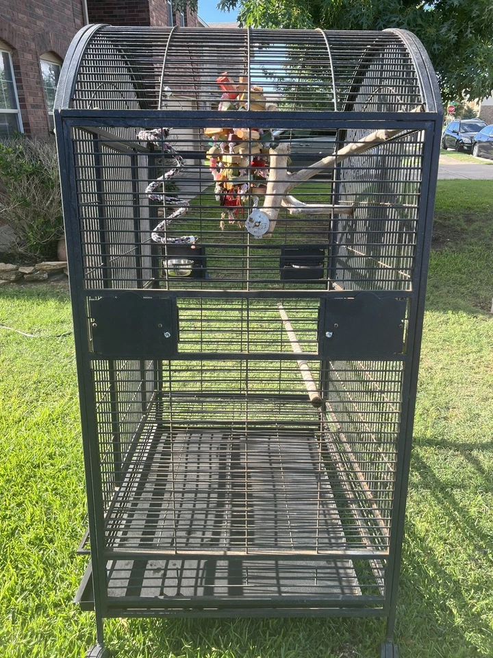 Jaula para pájaros A&E Cage Co 9003628 negra con cúpula superior Foto 3 de 4