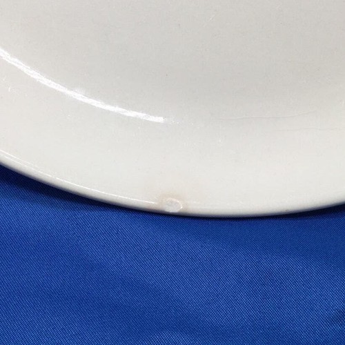 Salem China Old Gloucester Pattern Dinner Plate 10" Pat Prichard - Picture 7 of 7
