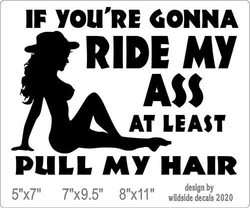 If You're Gonna Ride My Ass At Pull My Hair Aufkleber lustiger Vinyl-Aufkleber - Bild 2 von 10