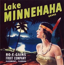 Clermont Florida Lake Minnehaha 2 Orange Citrus Fruit Crate Label Art Print