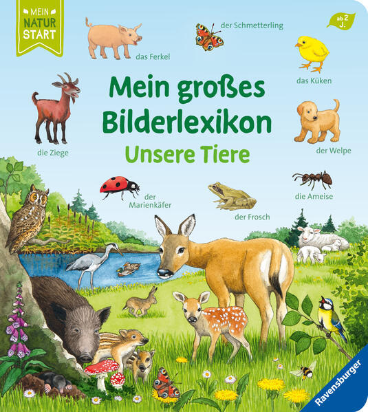 Thumbnail - Mein Großes Bilderlexikon: Unsere Tiere | Susanne Gernhäuser | 2021 |
