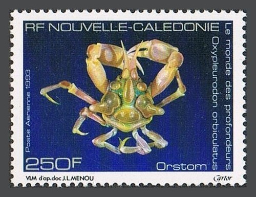 New Caledonia C254,MNH.Michel 970. Crab Oxpleurodon Orbiculatus,1993. - 第 1/1 張圖片