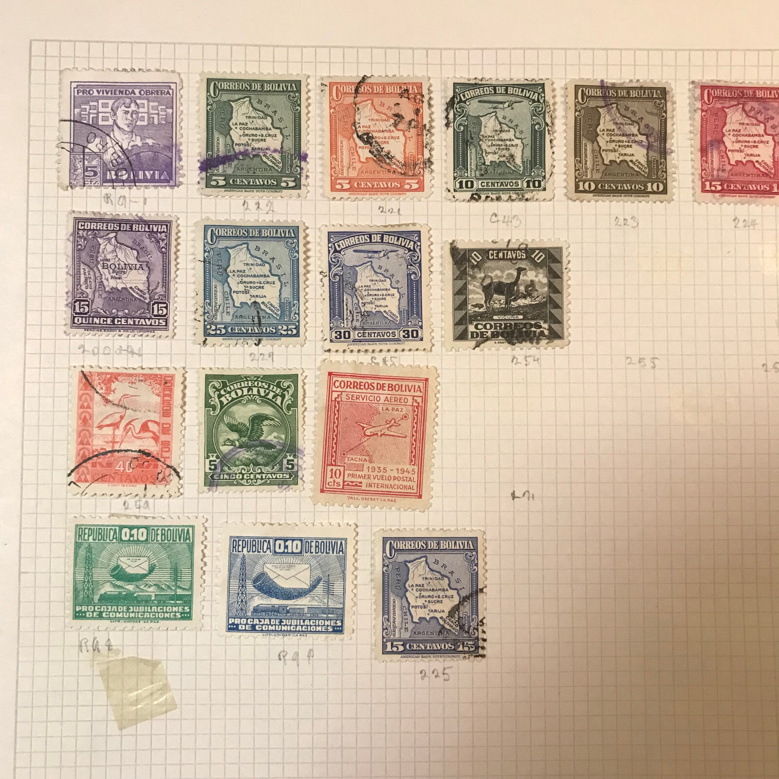 Picture 5 of 24