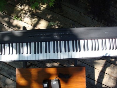 KORG コルグ SP-200 88鍵ピアノ Korg SP-200 Digital Piano - 88 Weighted Keys w/pedel, and