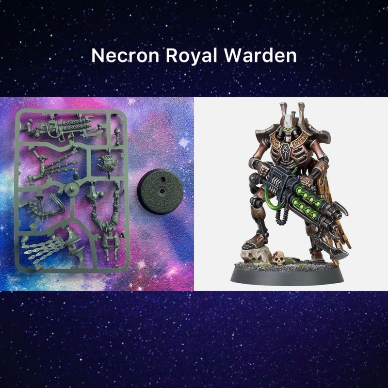 Warhammer 40k Indomitus Necron Royal Warden - New On Sprue