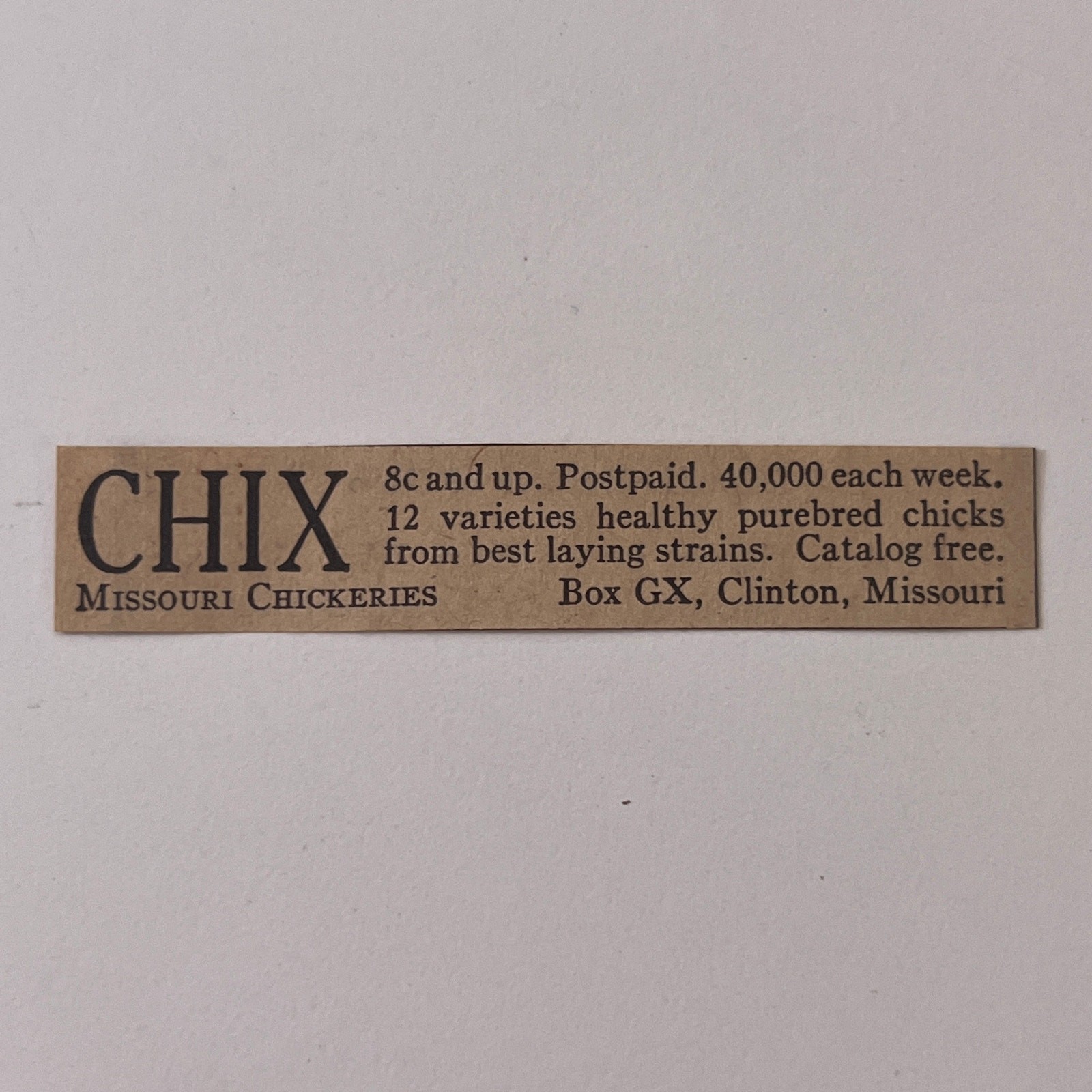 Missouri Chickeries Healthy Purebred Chix Clinton MO 1923 Ad SAG8-S13