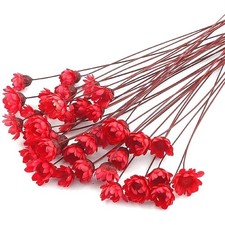 100 Stems Natural Dry Flowers Brazilian Small Star Daisy Decorative Dried Flo...