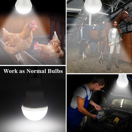 Solar Light Bulbs, Outdoor Indoor Home Chicken Coop Lights, Solar Powered - Picture 4 of 6