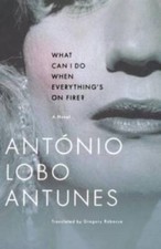 What Can I Do When Everything's On Fire?: A Novel - Paperback - GOOD