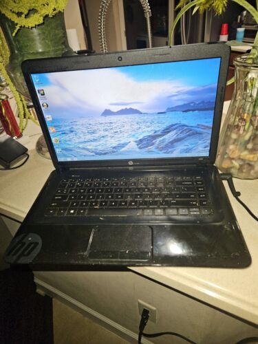 HP 2000 Laptop 15.6” AMD E1 4GB RAM 500GB HDD Windows 10 - Picture 3 of 7