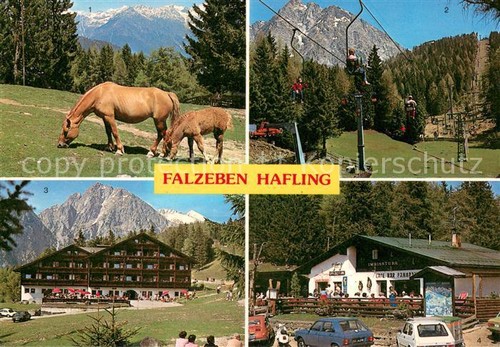 73654940 Hafling Haflinger chevaux télésiège auberge vie pliante avec café Ifinger
