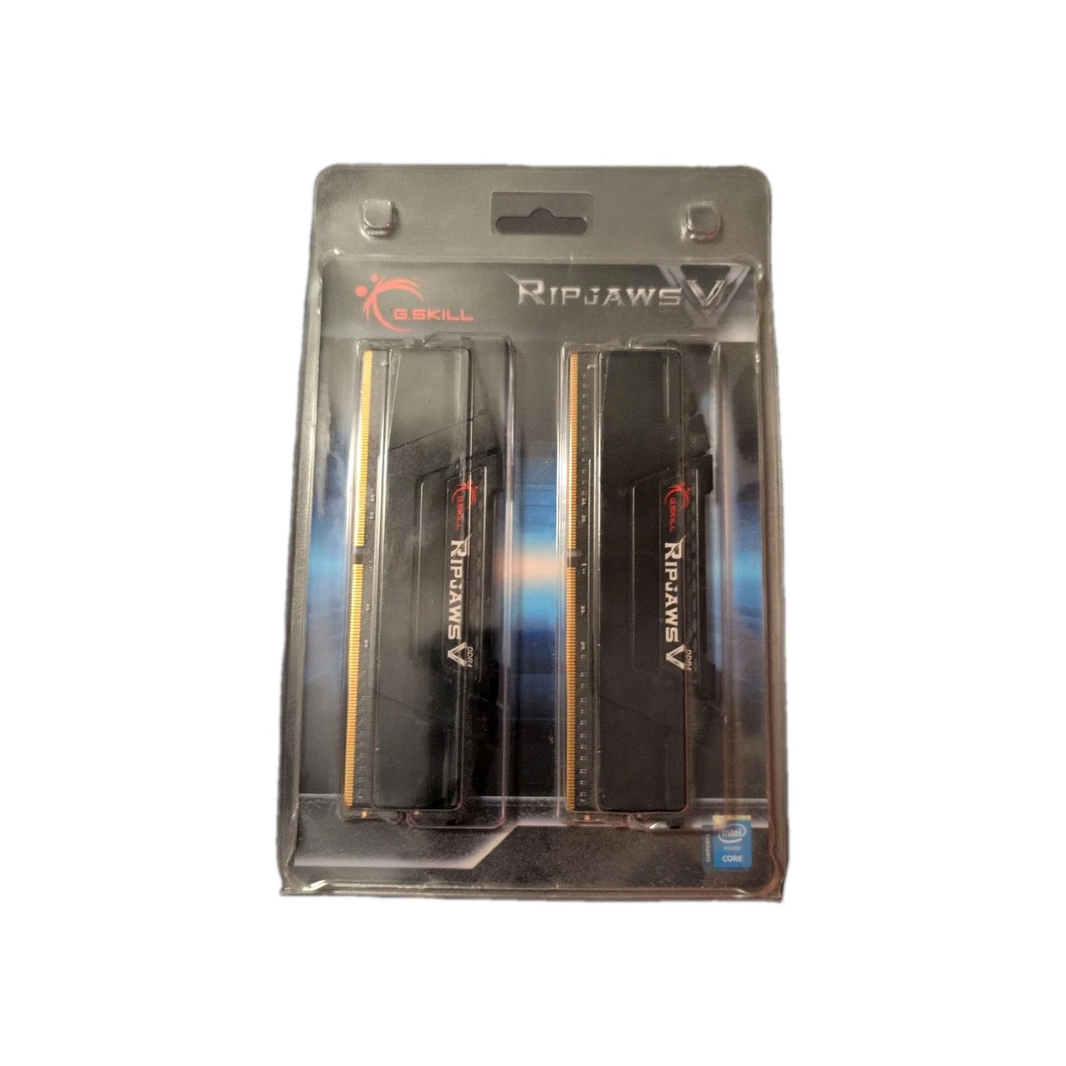 G. SKILL Computer PC4-21300 (DDR4-2666) Bus Speed Memory (RAM) for