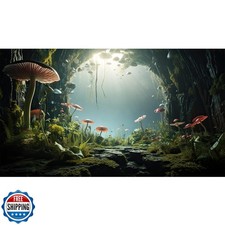 Aquarium Background Foggy Stone Mushroom Moss Aquarium Backdrop Mysterious Gr