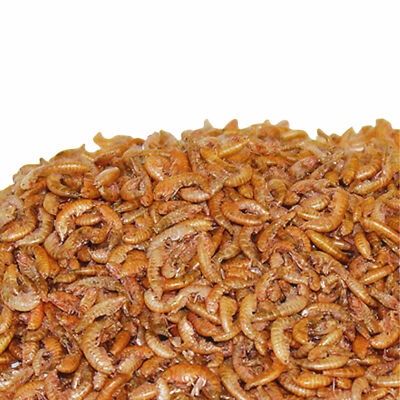 Warnick's Gammarus Bachflohkrebse 5000ml - Koifutter Und Reptilienfutter