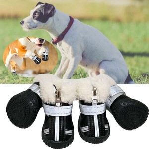 ebay dog boots