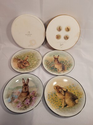 Pottery Barn Meadow Bunny 8