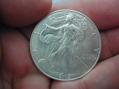 American Silver Eagle Walking Liberty 2002 1oz .999 Silber .