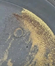 25+ lbs Hard Rock Gold And Silver Ore from The Mahoney Mine.