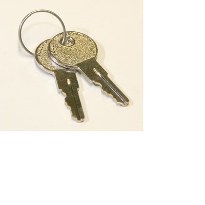 Y*u 262798 KEYS, SET OF 2 FOR HYSTER W40Z / W45Z | eBay