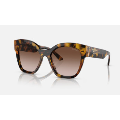 Prada SPR 17Z 2AU-5Y1 Women's Polarized Sunglasses (Havana)