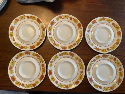 Set of 6  Mikasa Mediterrania Judy Sue 6 1/2” Saucer Plates Japan Retro Floral