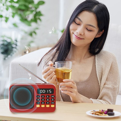 Mini Digital Radio Receiver Speaker MP3 Music Player FM USB TF Card Portable - Picture 23 of 28